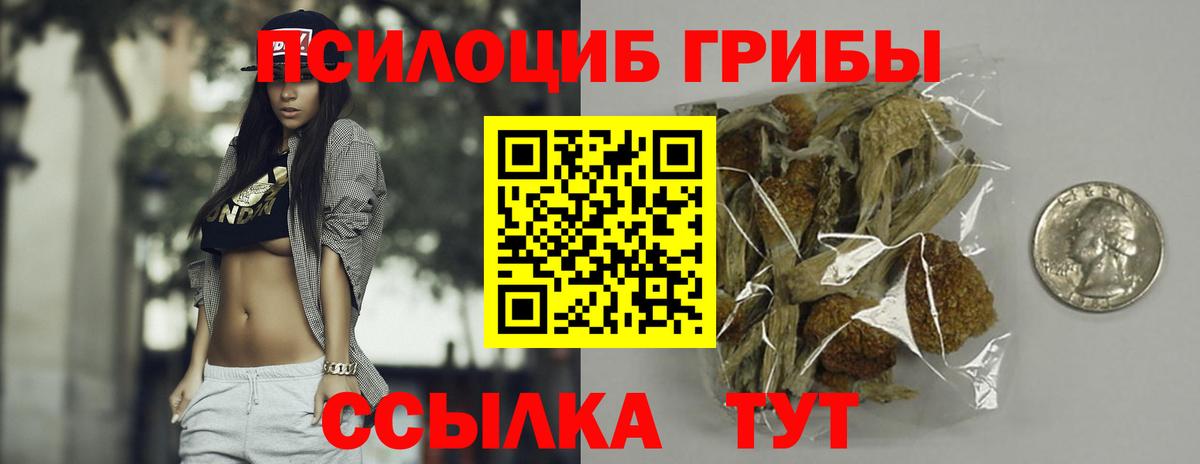 Галлюциногенные грибы Psilocybine cubensis  Вход с VPN  Всеволожск 