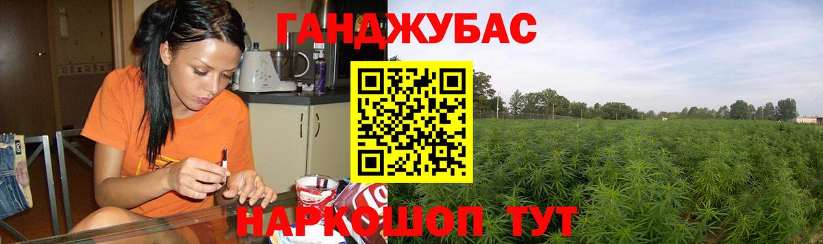 Бошки Шишки тримм  Вход с VPN  Всеволожск  Шишки марихуана Bruce Banner 